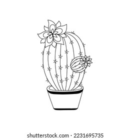Cactus blossoms in black and white with a white background are depicted in a line drawing