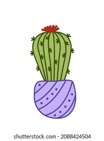 Cactus blue candle in bloom. Flowering plant in garden pots in cartoon style. Cactuses. Isolated vector stock illustration EPS 10 on white background 