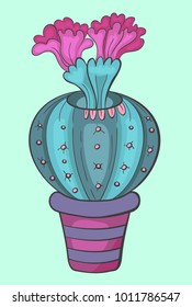 Cactus of blue, blue, green flowers with pink, crimson, purple flowers in a striped lilac orange pot with light and shadow.