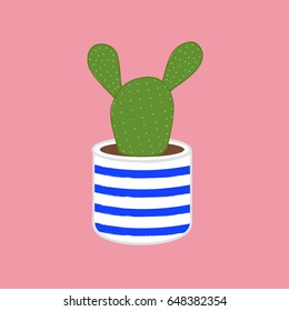 cactus in a blue striped pot
