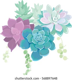 Cactus blue violet green flower composition white background