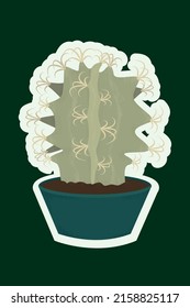 Cactus in the blue-green pot. sticker. flat succulent plants,and Astrophytum asterias in vector illustration , houseplant cute drawing