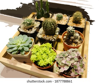 cactus bonsai leaf view green nature plant tree