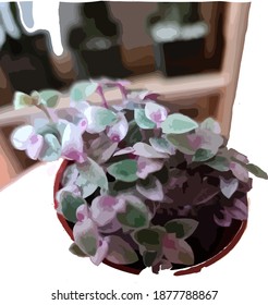 cactus bonsai leaf view green nature plant tree