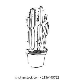 Cactus with branches. Hand drawn sketch vector illustration on white background. Black & white.