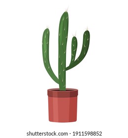 Cactus in a brown pot. Vector image in a flat style. Colorful illustration of a cactus in a pot.