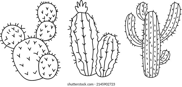 Cactus, cacti, cactus bundle, cacti set