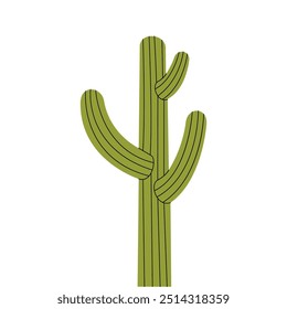 Cactus, cacti. Desert plants. Vector illustration.