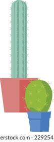 Cactus or cacti House plants or houseplants in pots stylised cartoon illustration