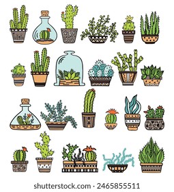 Cactus. Cacti set, succulents, home flowers, houseplants in pots, blossoms isolated on white background. Hand drawn vector 