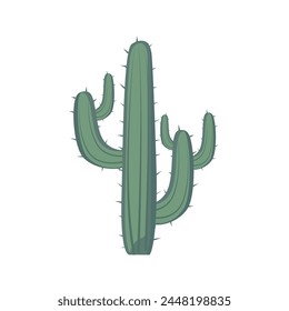 Cactus or cactoid plant vector illustration, cacti icon design, cute desert plants