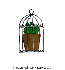 cactus in a cage for birds