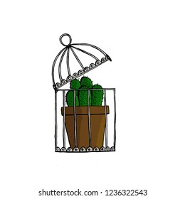 cactus in a cage on a white background