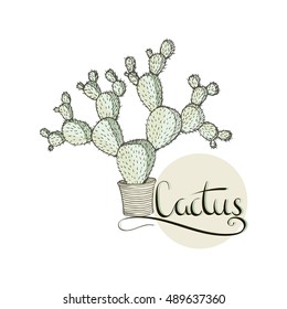 Cactus card. Modern brush calligraphy. Vector lettering art. Hand drawn lettering phrase. Ink illustration. Isolated on white background. Cactus and inscription.