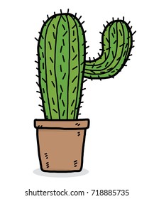 cactus / cartoon vector and illustration, hand drawn style, isolated on white background.