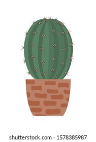 Cactus in a ceramic pot. Houseplant vector illustration isolated on white background.

