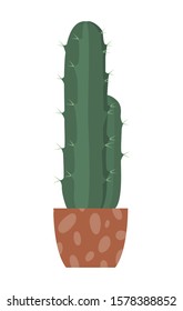 Cactus in a ceramic pot Isolated on white background. Room decor element. Hauseplant. Vector illustration.

