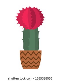 Cactus in a ceramic pot Isolated on white background. Gymnocalycium mihanovichii. Grafted Moon Cactus. Hauseplant. Vector illustration.
