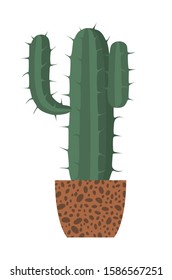 Cactus in a ceramic pot Isolated on white background. House plant. Hand drawn vector illustration.