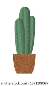 Cactus in a ceramic pot Isolated on white background. House plant. Vector illustration.