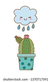 cactus with cloud