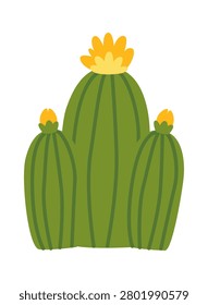 Cactus cluster and ribbed