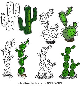 Cactus. A collection of flowers.