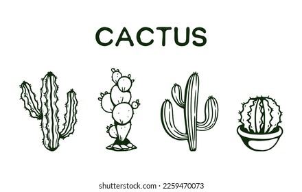 Cactus collection hand drawing vector illustration. Set of cacti