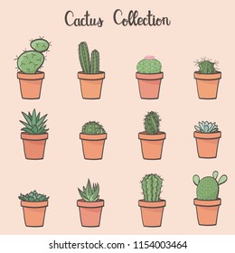Cactus Collection - hand drawn vector illustration, eps10