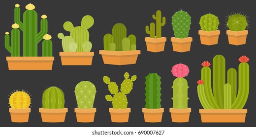 cactus collection in pots, flat design illustration vector