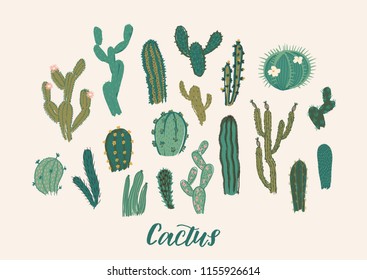 Cactus collection set. Vector illustration. Design elements Cactus collection set. Vector illustration. Design elements