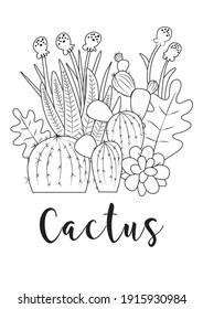 Cactus collection. Sketchy style illustration. Succulent set. Vector illustration