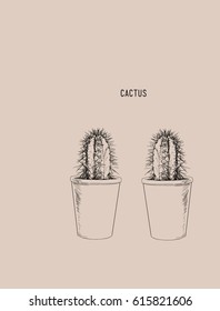 Cactus collection. Sketchy style illustration. Succulent set. Vector illustration.