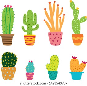 Cactus collection vector drawing colorful