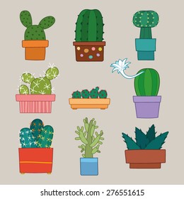 cactus collection vector illustration