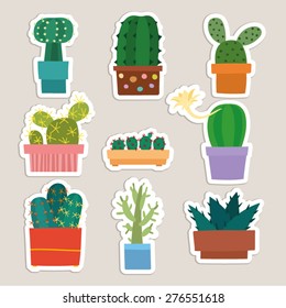 cactus collection vector illustration