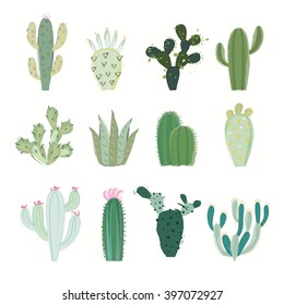 Cactus collection in vector illustration
