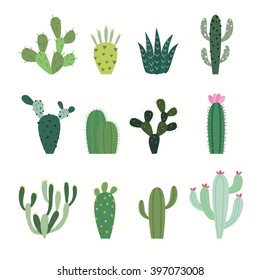 Cactus collection in vector illustration
