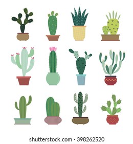 Cactus collection in vector illustration
