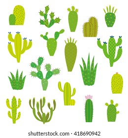 Cactus collection in vector illustration
