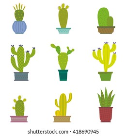 Cactus collection in vector illustration
