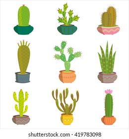 Cactus collection in vector illustration
