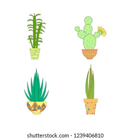 Cactus collection. White background Idea for poster, postcard. Vector illustration
