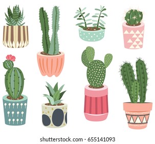 Cactus Collections
