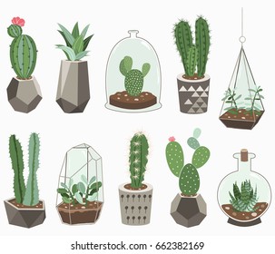 Cactus Collections