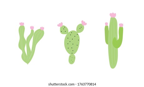 Cactus Collections Set.Eps 10 vector