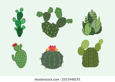 Cactus Collections Set. Hand drawn doodles of cactus elements. Colorful vector illustration.