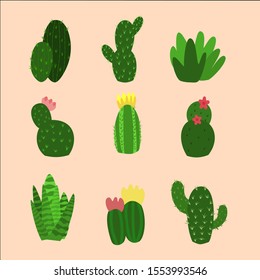 Cactus Collections Set.Cactus icon in flat style on a creamy background A variety of cactus falls.