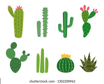 Cactus collections vector set isolated on white background