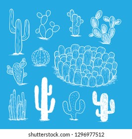 cactus collection,Vector illustration.